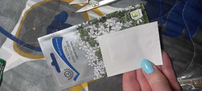 Фотография покупателя товара Семена цветов Ясколка Биберштейна Горный хрусталь, 0,05гр - Фото 3