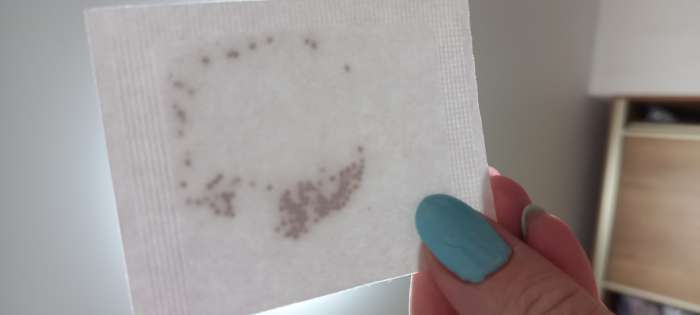 Фотография покупателя товара Семена цветов Ясколка Биберштейна Горный хрусталь, 0,05гр - Фото 4