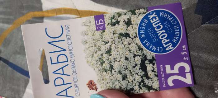 Фотография покупателя товара Семена цветов Арабис "Снежное облако", 0,1 г - Фото 2