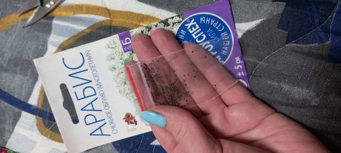 Фотография покупателя товара Семена цветов Арабис "Снежное облако", 0,1 г - Фото 4