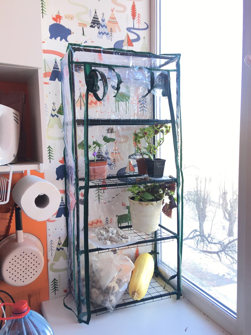 Фотография покупателя товара Парник-стеллаж, 4 полки, 105 × 24 × 46 см, металлический каркас d = 12 мм, чехол плёнка 80 мкм, Greengo - Фото 4