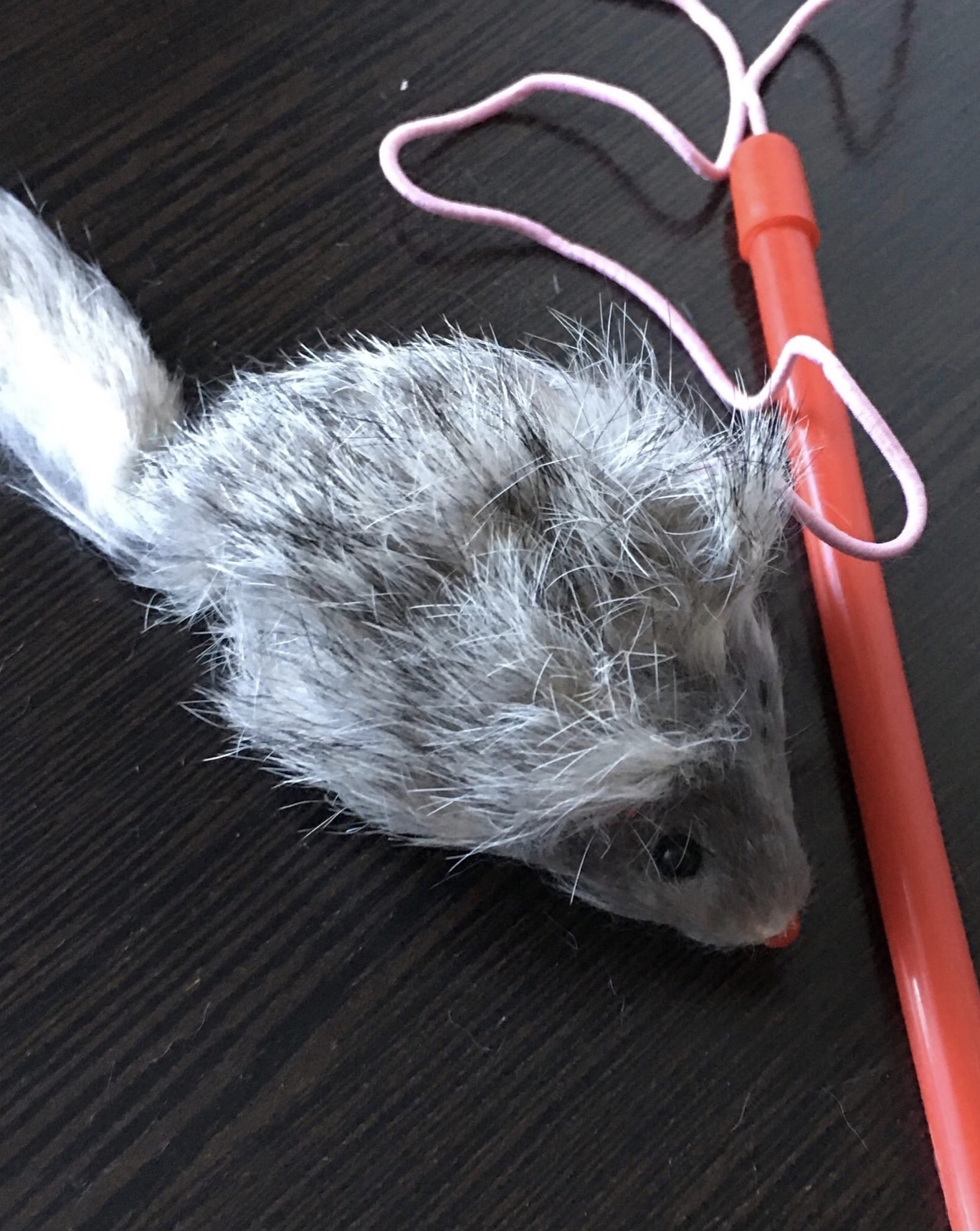 Фотография покупателя товара Дразнилка-удочка с серой мышью из натурального меха, 46 см, палочка микс цветов