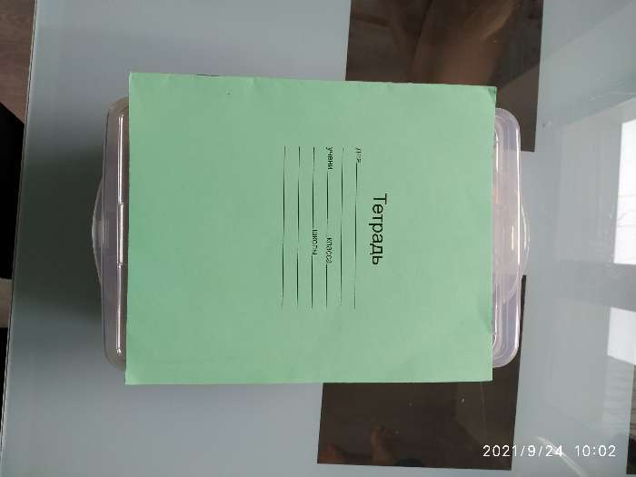 Фотография покупателя товара Контейнер универсальный econova Art Box, с ручкой, 2 секции - Фото 2