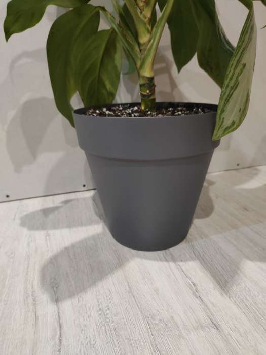 Фотография покупателя товара Кашпо для цветов со вставкой Tarragon, 7 л, d=25 см, h=23 см, серое - Фото 1