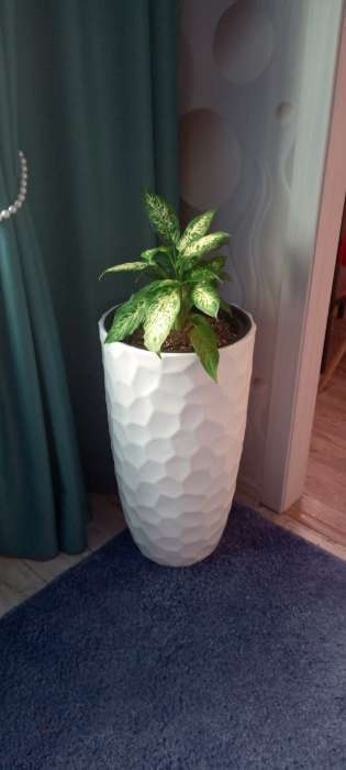 Фотография покупателя товара Кашпо для цветов со вставкой «Мозаика», 42 л (9 л), белое - Фото 1