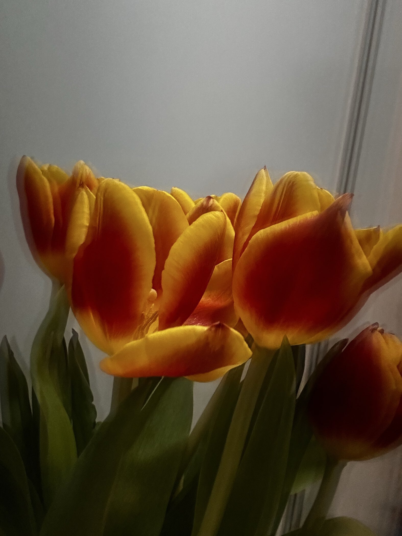 Фотография покупателя товара Защитное стекло для iPhone 14 Pro, антишпион, рамка для установки, полный клей, 9H, 0.33 мм - Фото 1