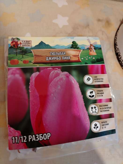 Фотография покупателя товара Тюльпан Джимбо Пинк, луковица в пакете с перфорацией, р-р 11/12, 5 шт. - Фото 2