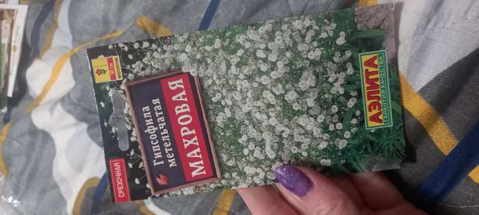 Фотография покупателя товара Семена цветов Гипсофила "Махровая", 0,05 г - Фото 1