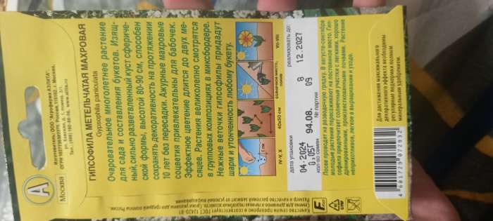 Фотография покупателя товара Семена цветов Гипсофила "Махровая", 0,05 г - Фото 2