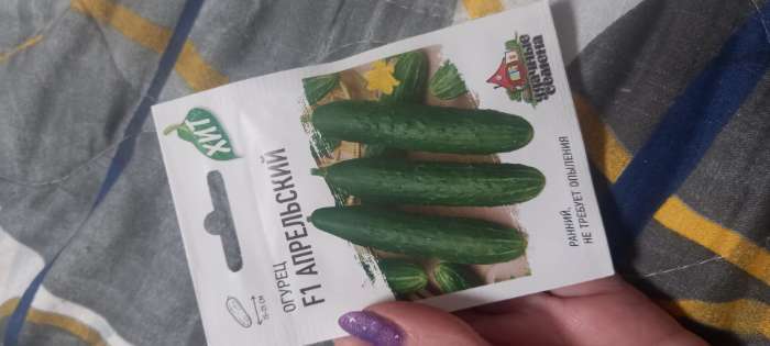 Фотография покупателя товара Семена Огурец "Апрельский" F1, скороспелый, партенокарпический, 0,3 г  серия ХИТ х3 - Фото 2