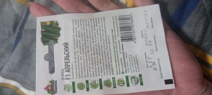 Фотография покупателя товара Семена Огурец "Апрельский" F1, скороспелый, партенокарпический, 0,3 г  серия ХИТ х3 - Фото 1