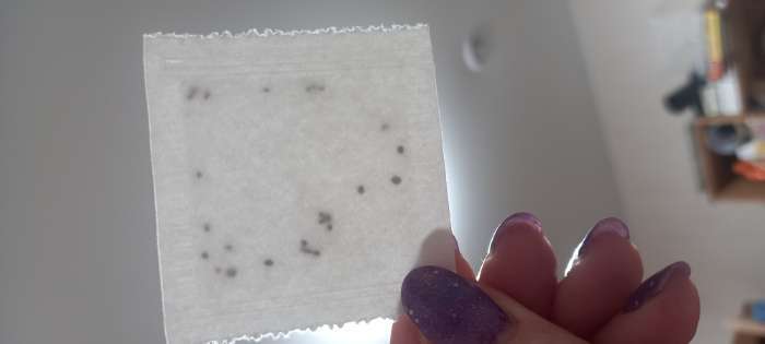 Фотография покупателя товара Семена цветов Примула «Колоссея», смесь, 0.03 г, «Урожай Удачи» - Фото 4