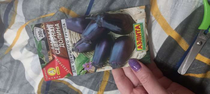 Фотография покупателя товара Семена Баклажан "Северная долина", ц/п, 0,3 г - Фото 2