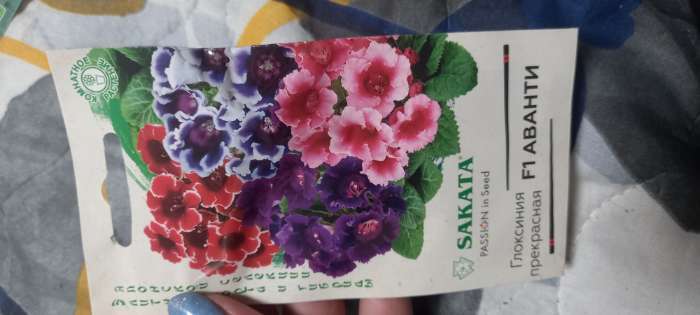 Фотография покупателя товара Семена комнатных цветов Глоксиния Аванти "Смесь", ц/п, F1, 4 шт. - Фото 2