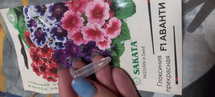 Фотография покупателя товара Семена комнатных цветов Глоксиния Аванти "Смесь", ц/п, F1, 4 шт. - Фото 3