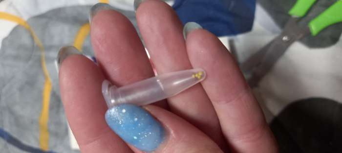 Фотография покупателя товара Семена комнатных цветов Глоксиния Аванти "Смесь", ц/п, F1, 4 шт. - Фото 1