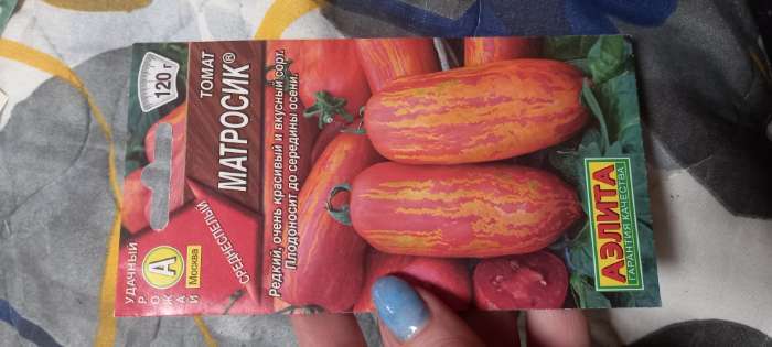 Фотография покупателя товара Семена Томат "Матросик", индетерминантный,высокорослый,20 шт - Фото 1