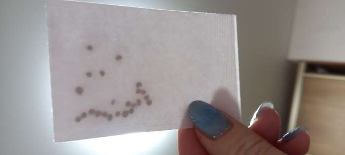 Фотография покупателя товара Семена Томат "Матросик", индетерминантный,высокорослый,20 шт - Фото 4