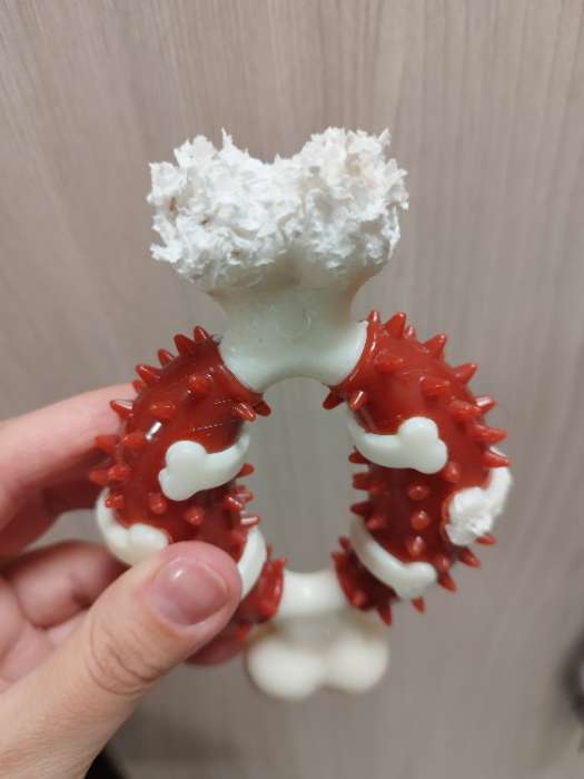 Фотография покупателя товара Игрушка для собак Пижон Premium «Кость», 12.5 см, TPR + нейлон - Фото 2