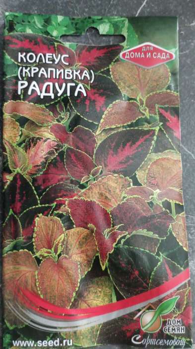 Фотография покупателя товара Семена комнатных цветов Колеус "Блюма Радуга", 130 шт. - Фото 9