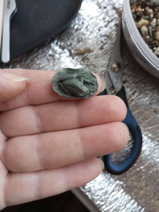 Фотография покупателя товара Глина для лепки натуральная голубая 1000 г, Calligrata, самоотвердевает (подходит для обжига) - Фото 3