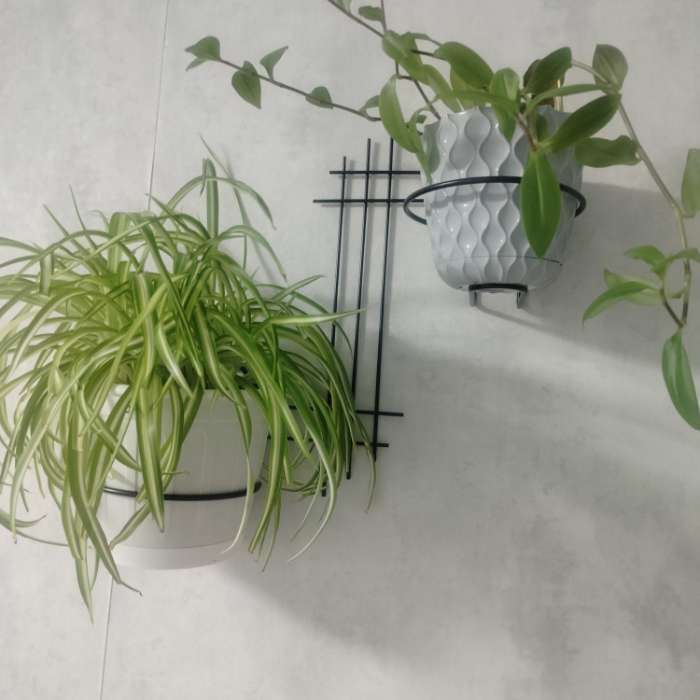 Фотография покупателя товара Подвес для кашпо, настенный, d = 16 см, чёрный, «Прямая-2» - Фото 2