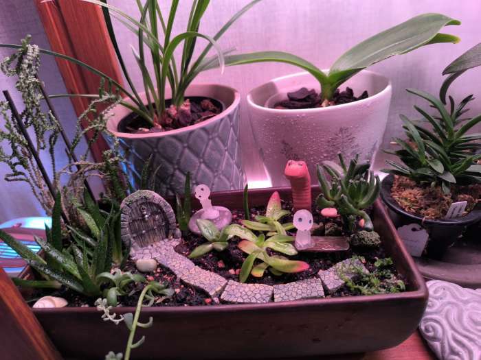 Фотография покупателя товара Фигурка для флорариума полистоун «Арочные садовые ворота», 5.5×3×5.5 см - Фото 1