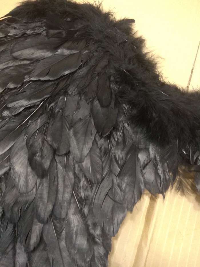 Фотография покупателя товара Крылья ангела, 60 × 57 см, цвет чёрный - Фото 8