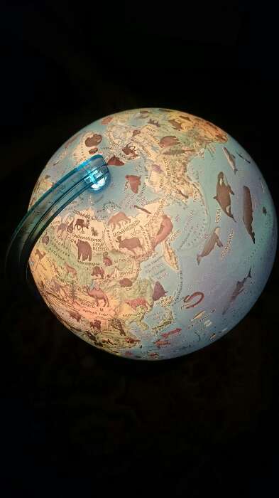 Фотография покупателя товара Глoбус зоогеографический (детский) "Классик Евро", диаметр 210 мм, с подсветкой