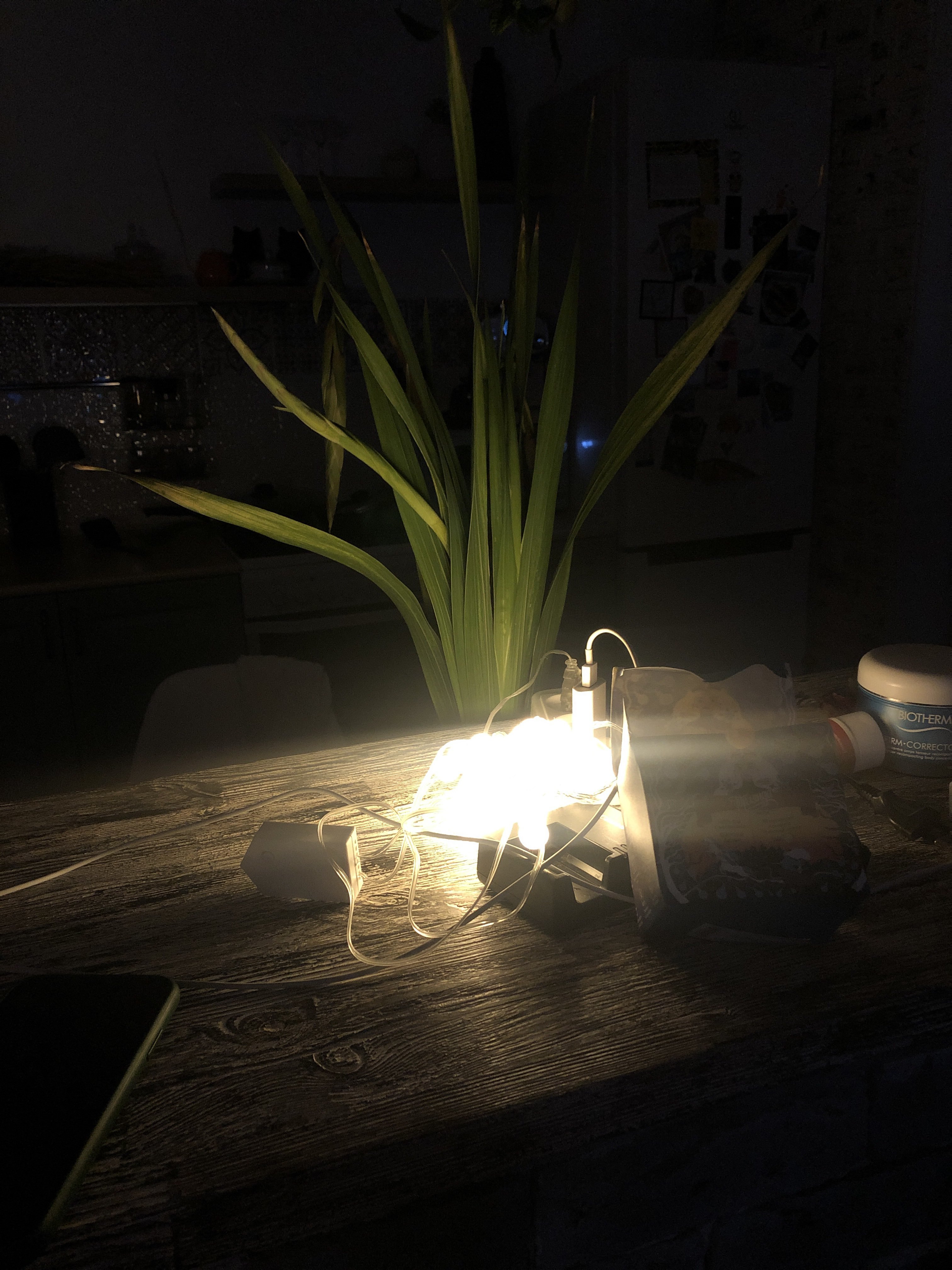 Фотография покупателя товара Гирлянда «Нить» 5 м с насадками «Шарики белые», IP20, прозрачная нить, 30 LED, свечение тёплое белое, 8 режимов, 220 В - Фото 18