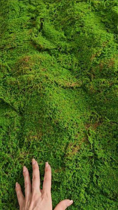 Фотография покупателя товара Мох искусственный, декоративный, полотно 1×1 м, цвет мох, Greengo - Фото 1