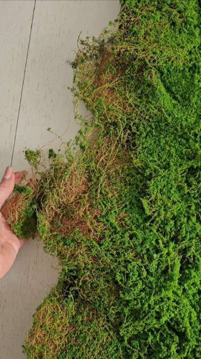 Фотография покупателя товара Мох искусственный, декоративный, полотно 1×1 м, цвет мох, Greengo - Фото 2