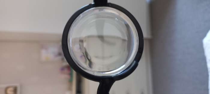 Фотография покупателя товара Карнавальный набор, 2 предмета: мундштук, очки - Фото 3