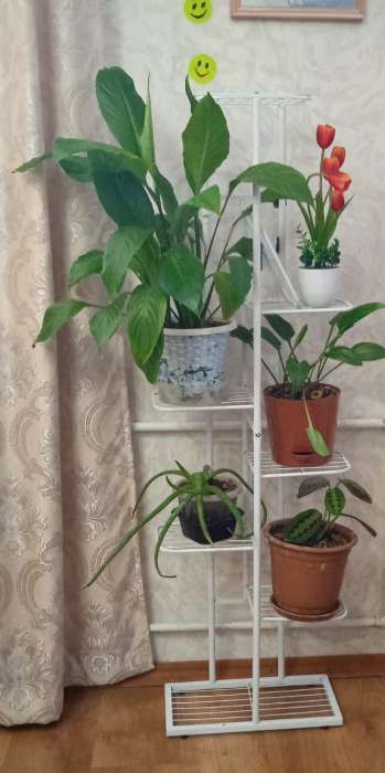 Фотография покупателя товара Подставка для цветов Greengo, 8 полок, 43×22×141 см, напольная, металл, чёрная - Фото 1