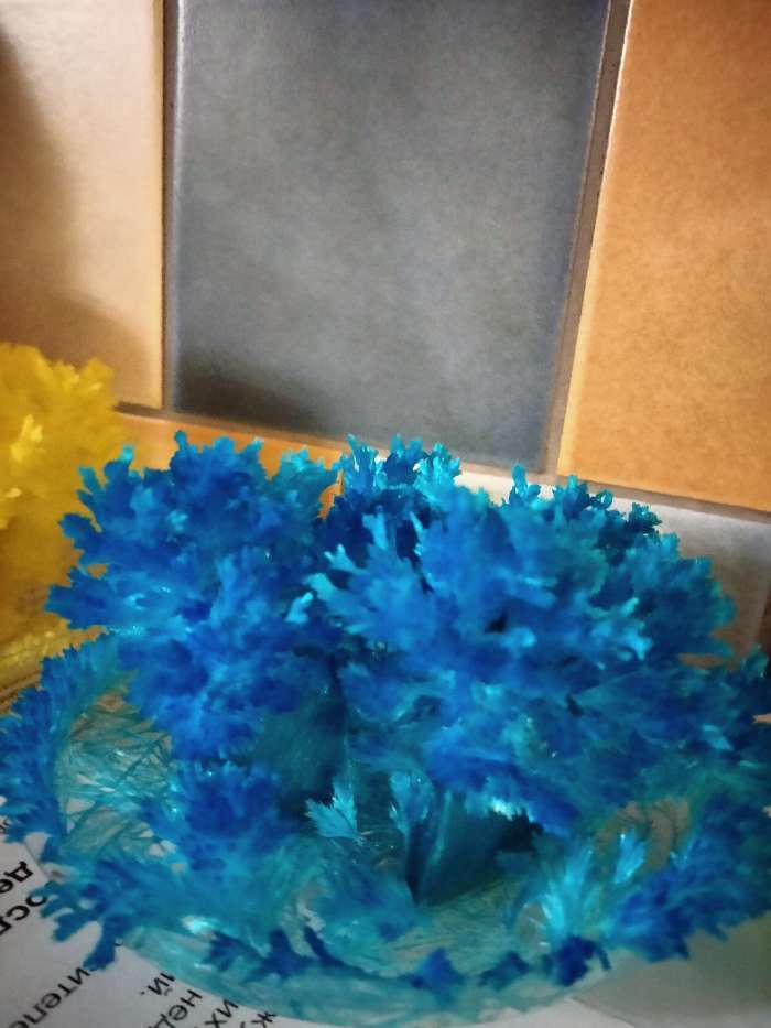 Фотография покупателя товара Набор для творчества «Лучистые кристаллы», цвет синий - Фото 3