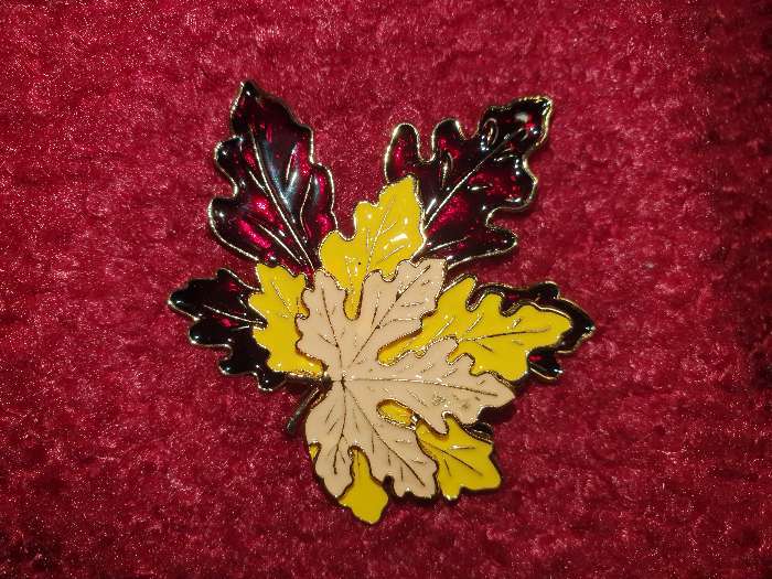 Фотография покупателя товара Брошь «Листья» три кленовых, цветная в золоте - Фото 3