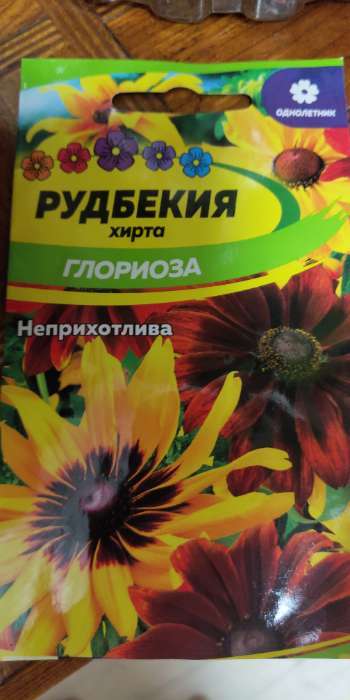 Фотография покупателя товара Семена цветов Глориоза «Рудбекия хирта», 0.2 г - Фото 1