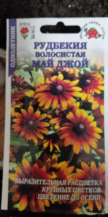 Фотография покупателя товара Семена цветов Рудбекия "Май Джой", 0,2 г - Фото 2
