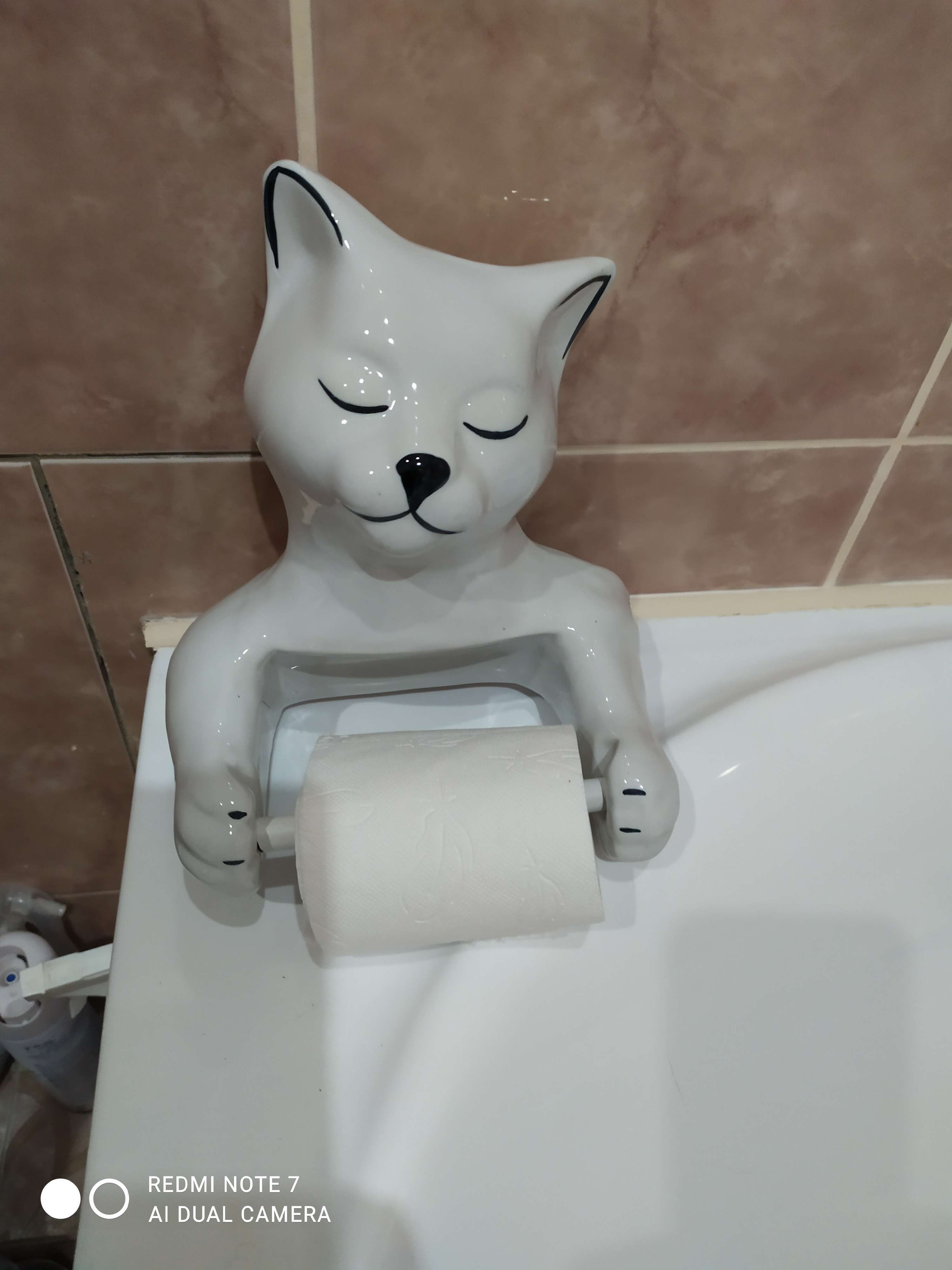Фотография покупателя товара Держатель для туалетной бумаги "Кошка" 26х23х14см - Фото 5