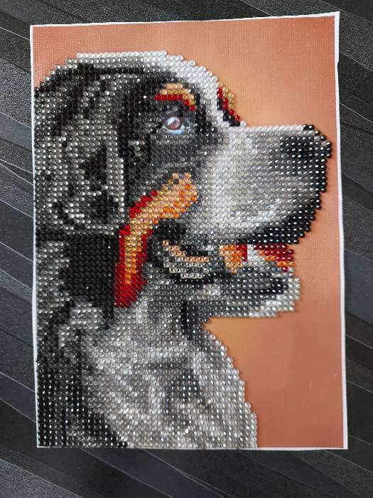 Фотография покупателя товара Алмазная мозаика с частичным заполнением «Собака», 15 х 21 см - Фото 2