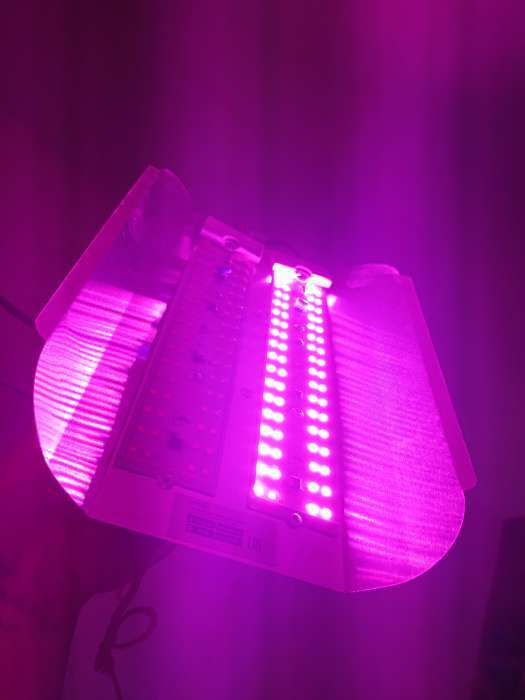 Фотография покупателя товара Фитопрожектор для растений Luazon Lighting СДО09-100, светодиодный, 100 Вт, IP65, 220 В, бескорпусный, мультиспектральный - Фото 3