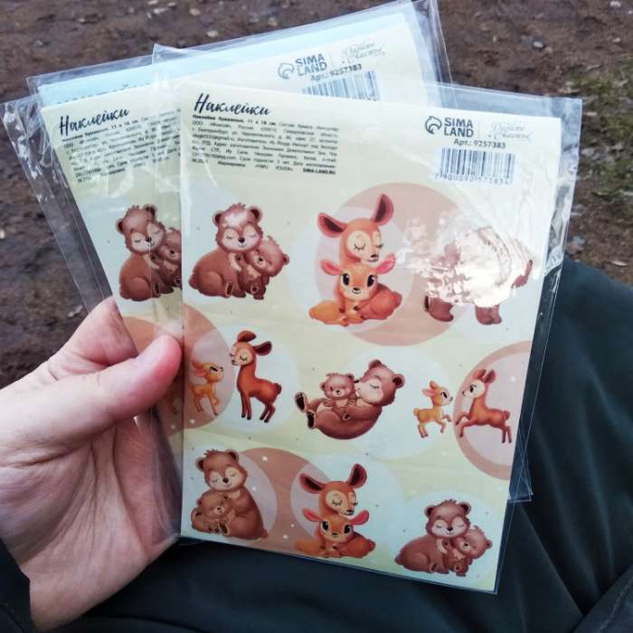 Фотография покупателя товара Наклейки детские бумажные «Любимые животные», c раскраской на обороте, 10 х 14 см - Фото 1