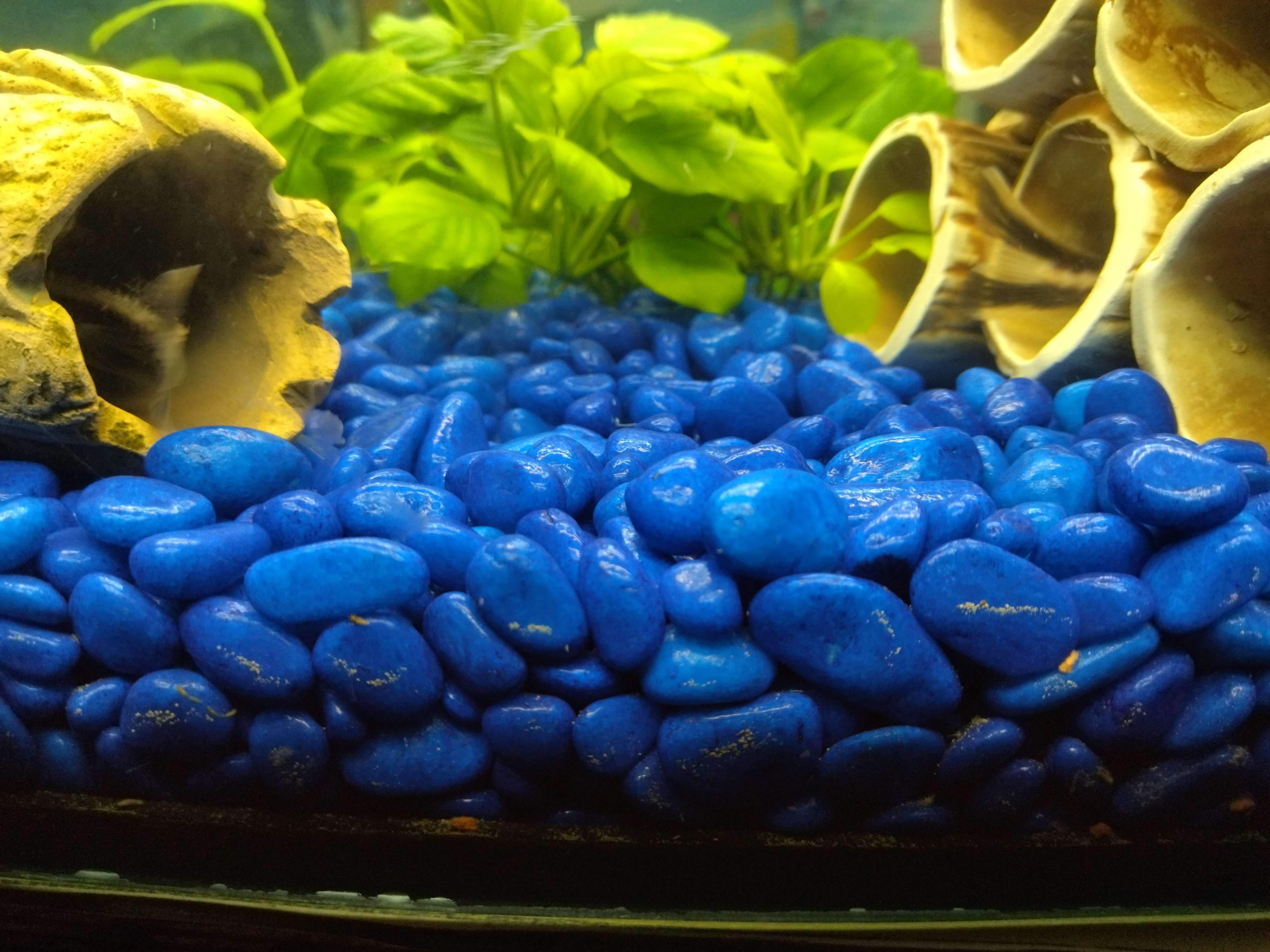 Фотография покупателя товара Грунт для аквариума "Галька цветная,  темно-синяя" 800г фр 8-12 мм - Фото 2
