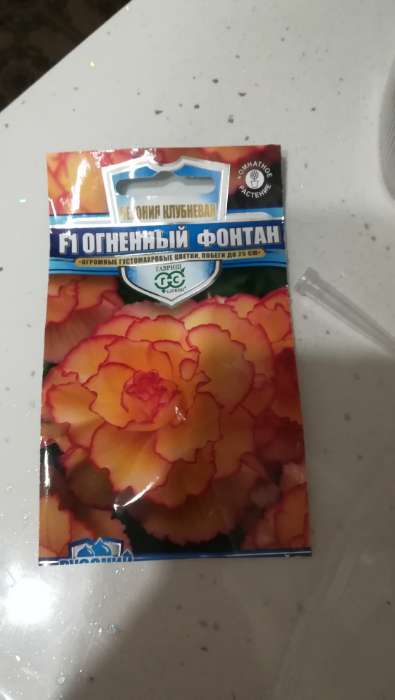 Фотография покупателя товара Семена цветов Бегония "Огненный фонтан", ц/п,  F1, серия Русский богатырь, гранулы, 4 шт - Фото 6