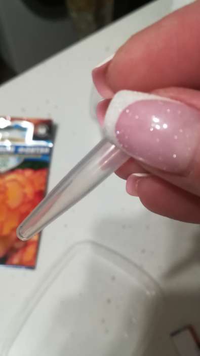 Фотография покупателя товара Семена цветов Бегония "Огненный фонтан", ц/п,  F1, серия Русский богатырь, гранулы, 4 шт - Фото 8