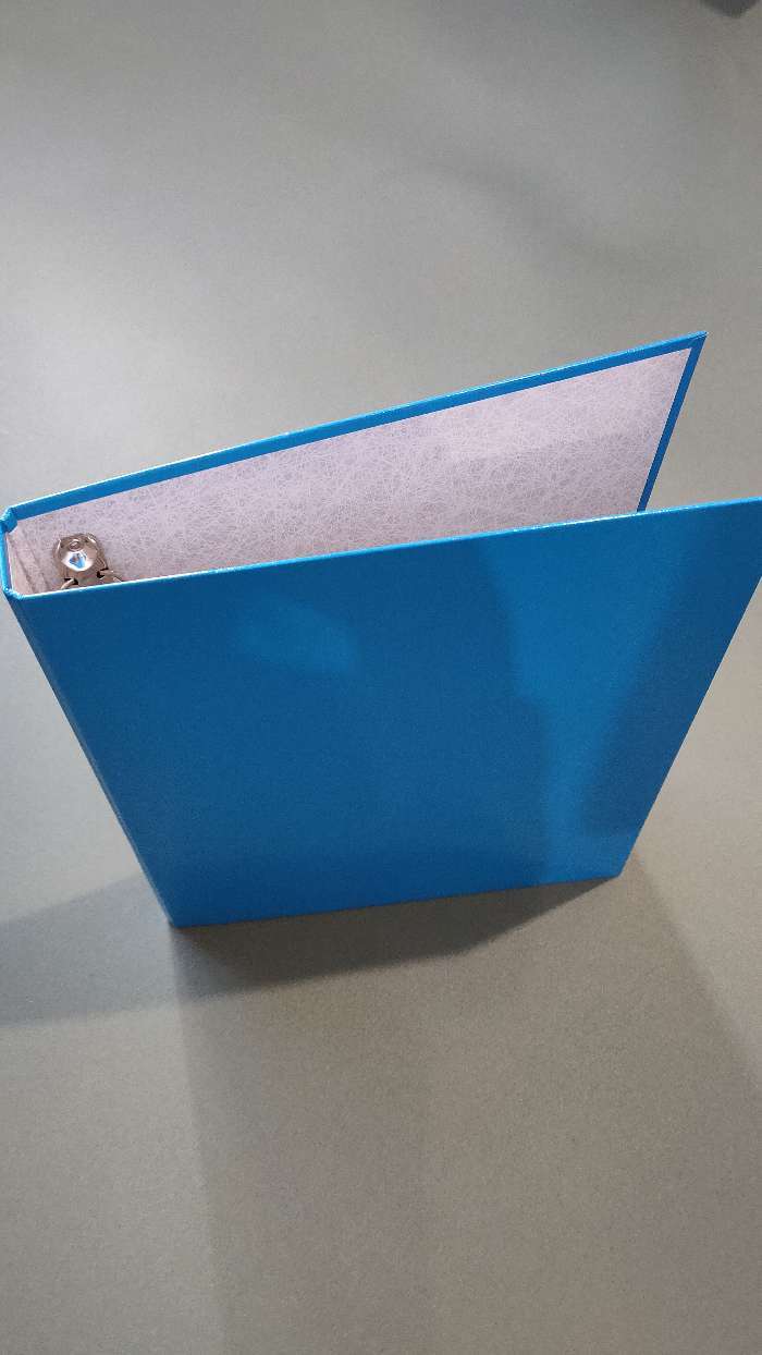 Фотография покупателя товара Папка на 4 кольцах А4, ErichKrause Neon, 35 мм, 1750 мкм, ламинированная, твердая обложка, голубая - Фото 5