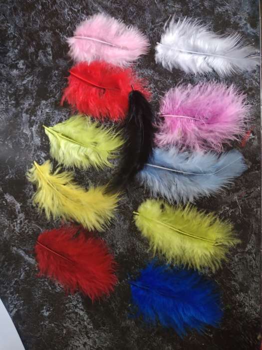 Фотография покупателя товара Набор перьев для декора, набор 10 шт., размер 1 шт.: 10×2 см, цвета МИКС - Фото 1