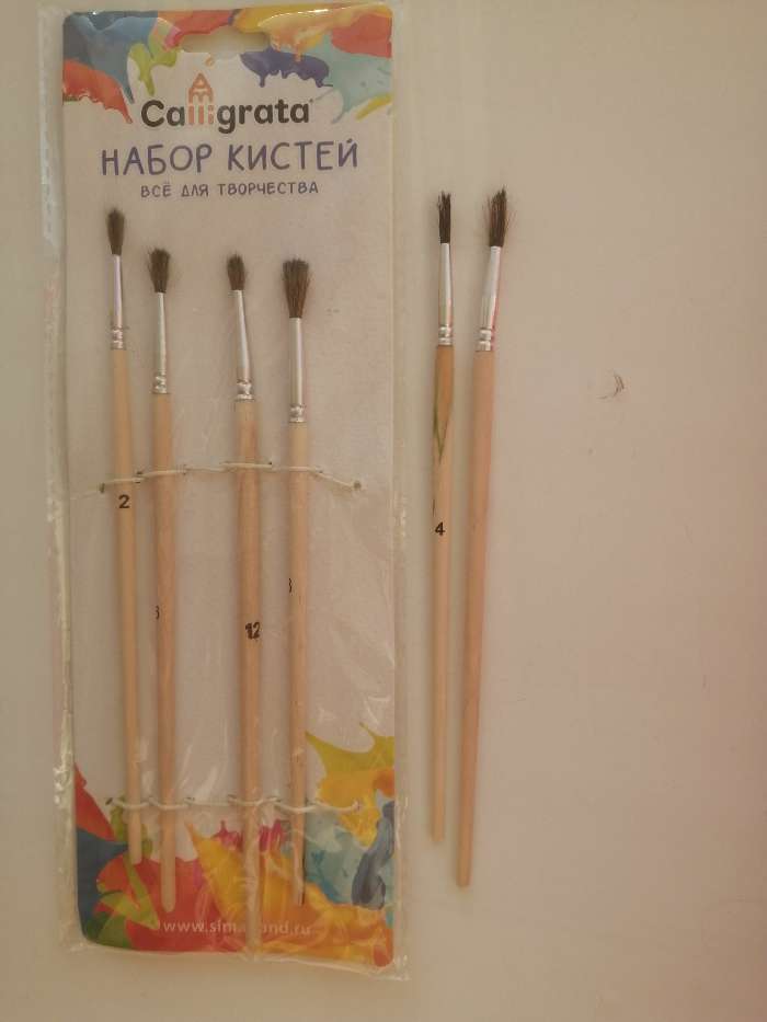 Фотография покупателя товара Набор кистей пони 6 штук (круглые:№ 2, 4, 6, 8, 10, 12), с деревянными ручками, на блистере - Фото 8