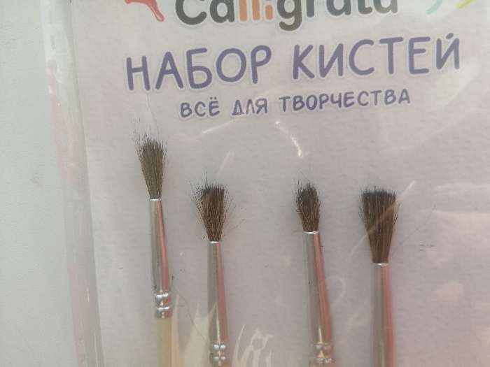Фотография покупателя товара Набор кистей пони 6 штук (круглые:№ 2, 4, 6, 8, 10, 12), с деревянными ручками, на блистере