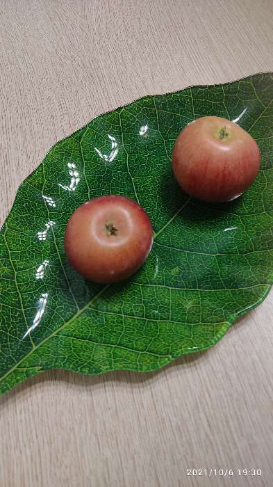 Фотография покупателя товара Блюдо стеклянное сервировочное Доляна «Лист», 31×19 см, цвет зелёный - Фото 7